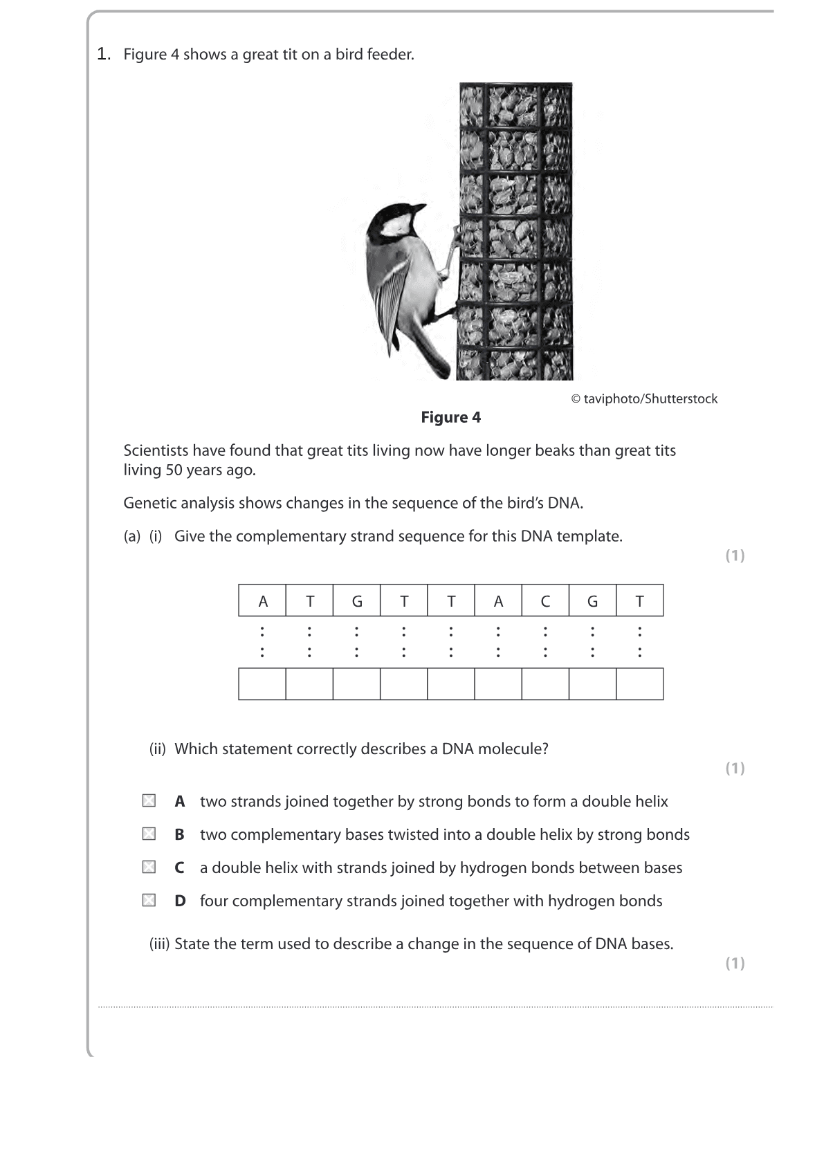 A real generated Edexcel Combined Science question page about DNA and natural selection